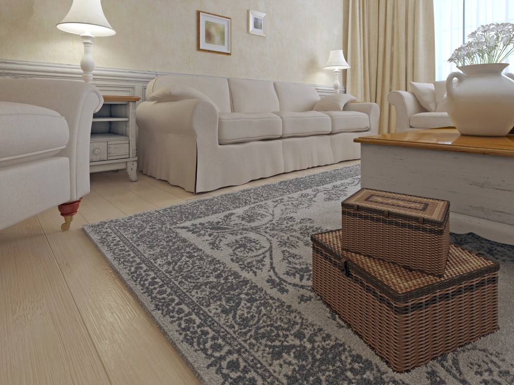 area rug placement in the living room