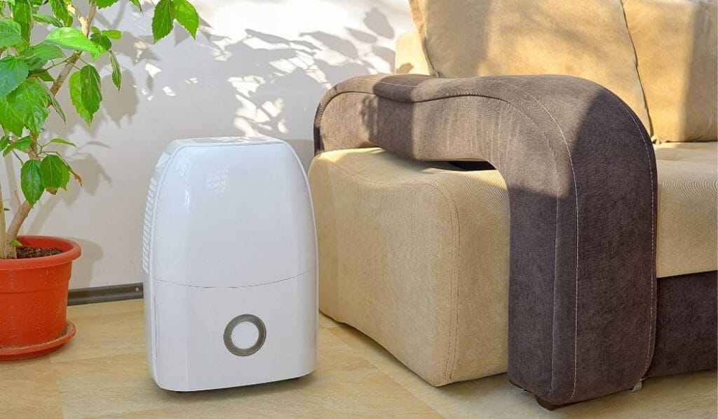 Dehumidifier reducing indoor moisture to prevent mold growth