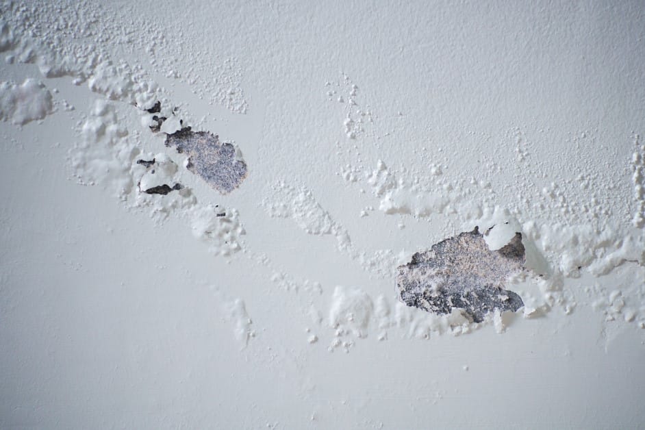 Peeling white paint on a wall, revealing potential mold growth.