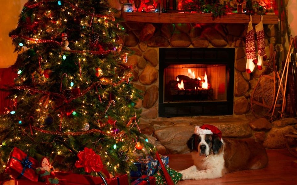 Saint Bernard wearing a Santa hat lying by a lit fireplace and a decorated Christmas tree.