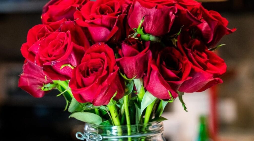 A lush bouquet of deep red roses with vibrant green stems, freshly arranged in a clear glass jar.