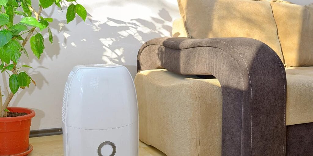White portable dehumidifier placed next to a living room sofa and indoor plant